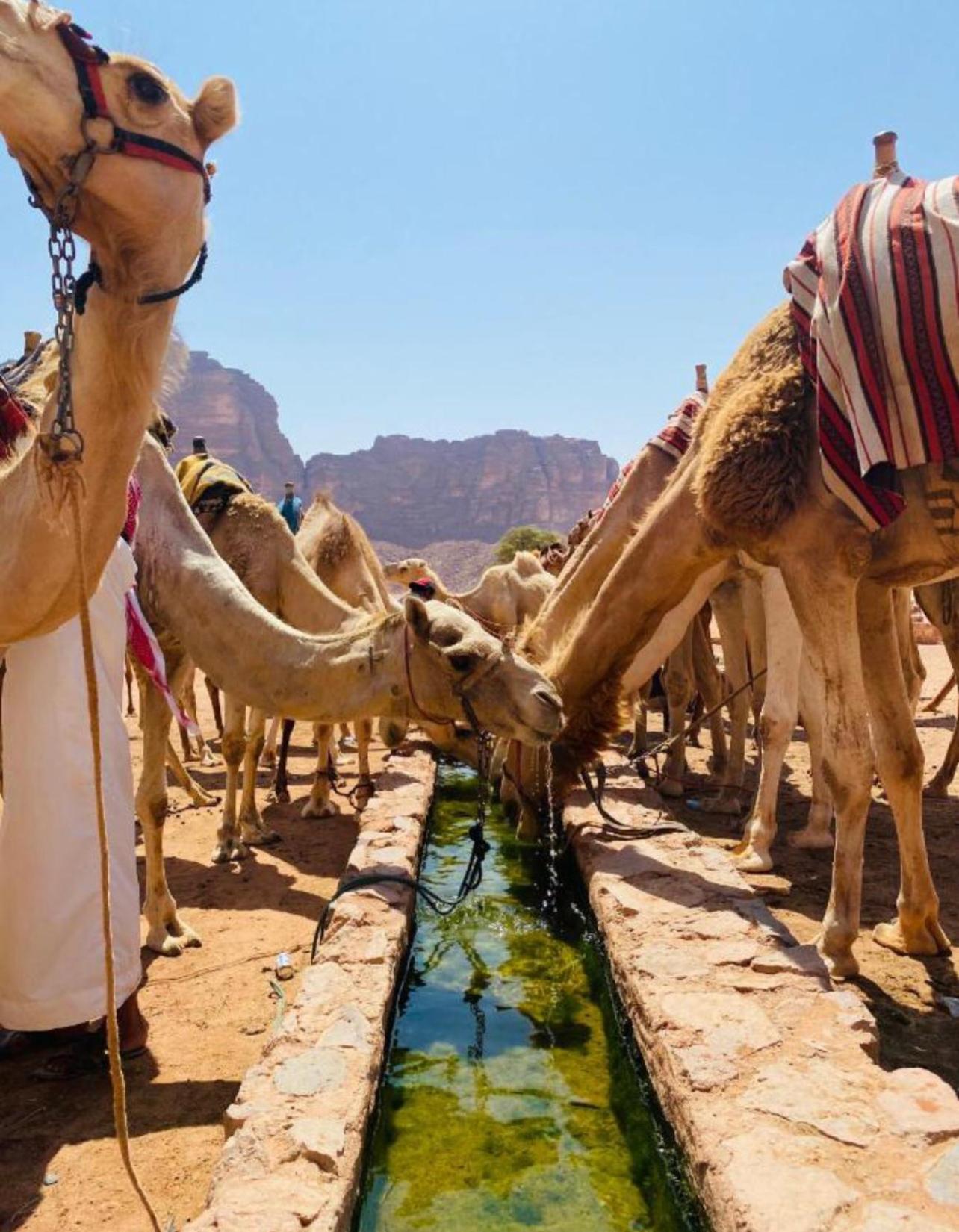 Hidden Wadi Rum Camp Exteriér fotografie