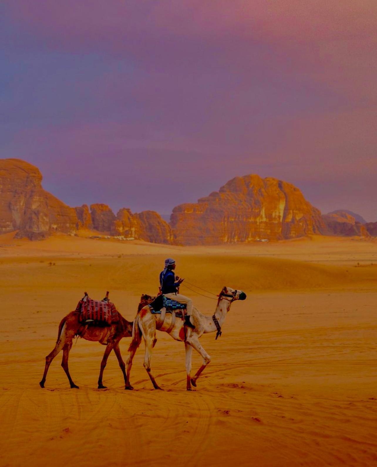 Hidden Wadi Rum Camp Exteriér fotografie